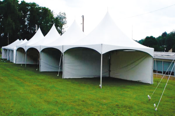 Carpas 31